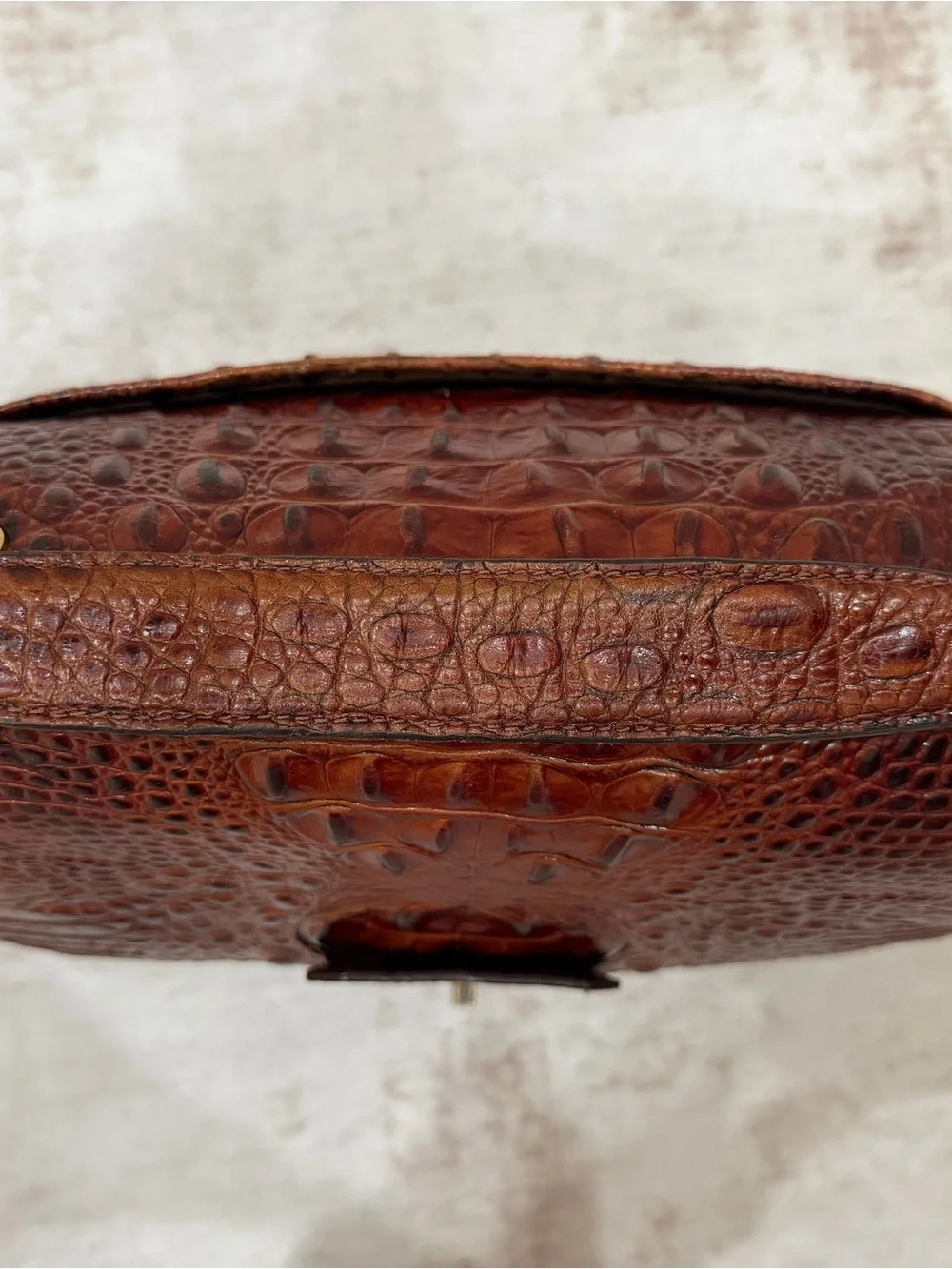 Brahmin beautiful highly